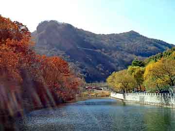 新澳天天开奖资料大全旅游团，夺命交换